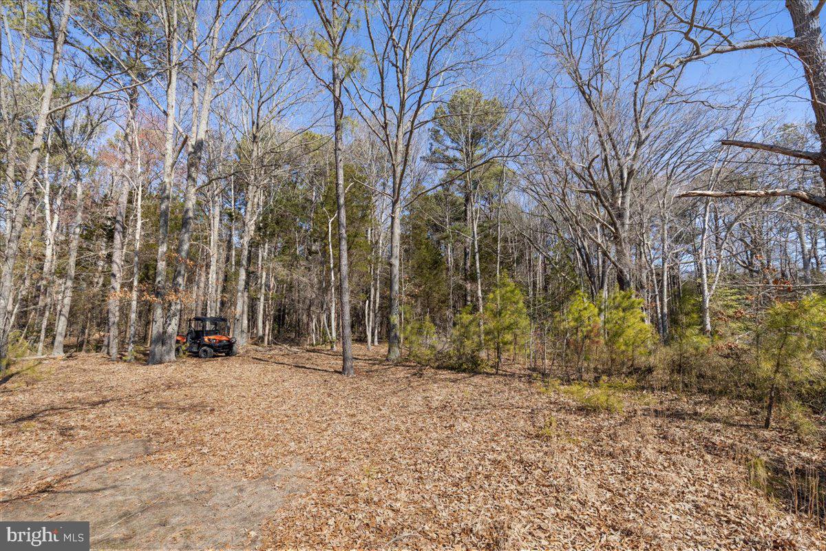 CHARLESTON ESTATES - Land