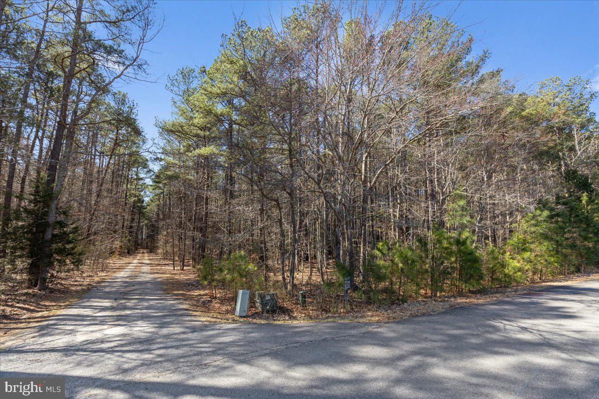 CHARLESTON ESTATES - Land