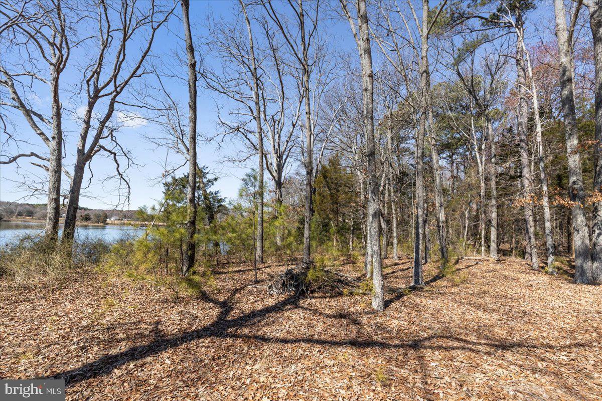 CHARLESTON ESTATES - Land