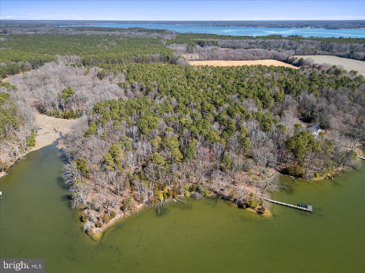 CHARLESTON ESTATES - Land