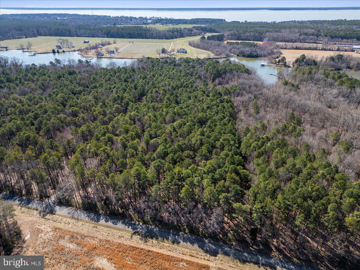 CHARLESTON ESTATES - Land