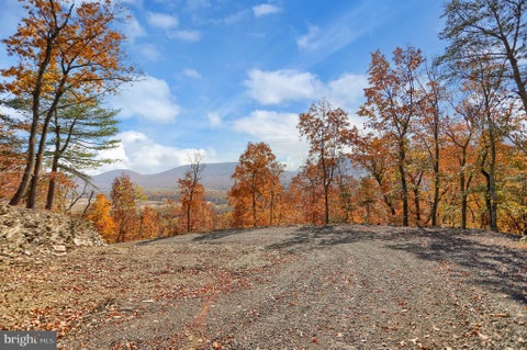 Vacant Land For Sale - Route 150<br/> Clinton County, AVIS, PA 17721