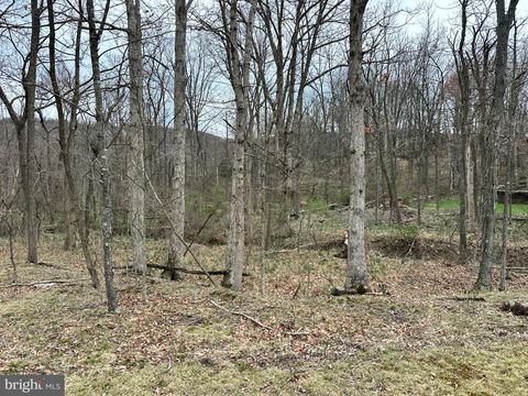 Vacant Land For Sale - Timberlake Estates - Lot 24<br/> NEW CREEK, WV 26743