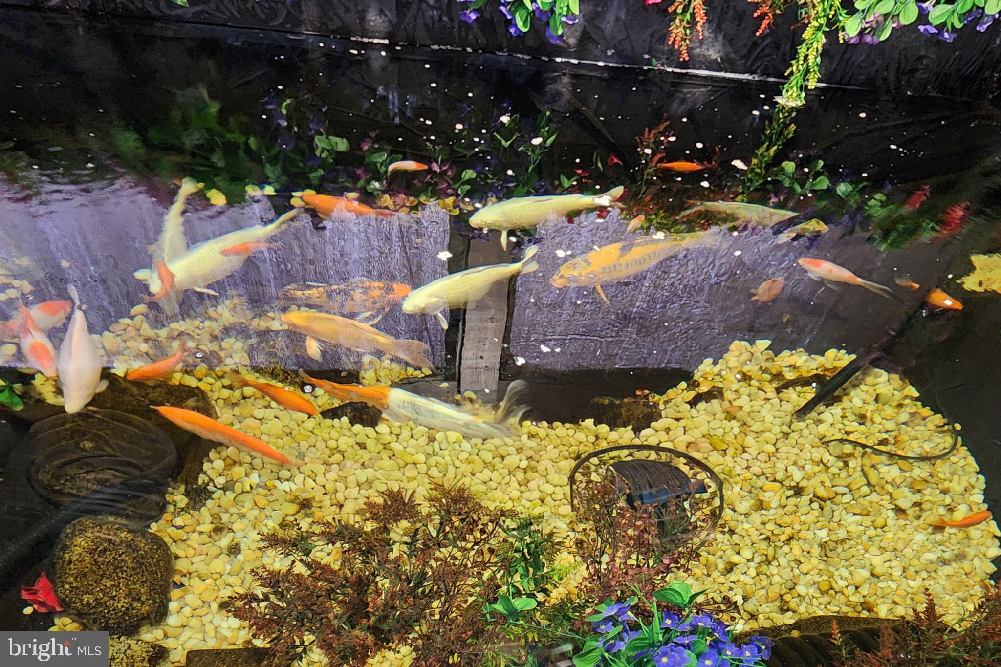 CAROLINE PINES - Residential