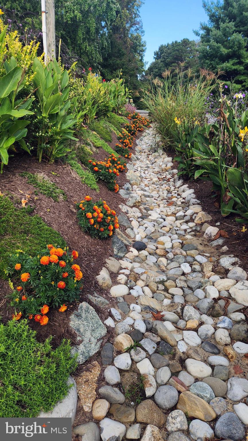 CAROLINE PINES - Residential