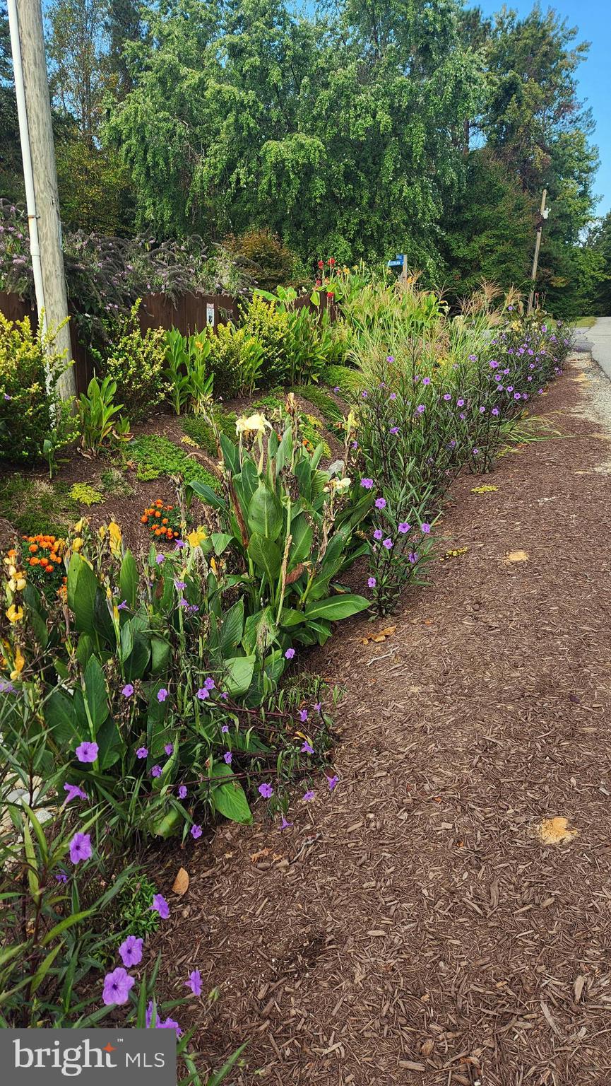 CAROLINE PINES - Residential