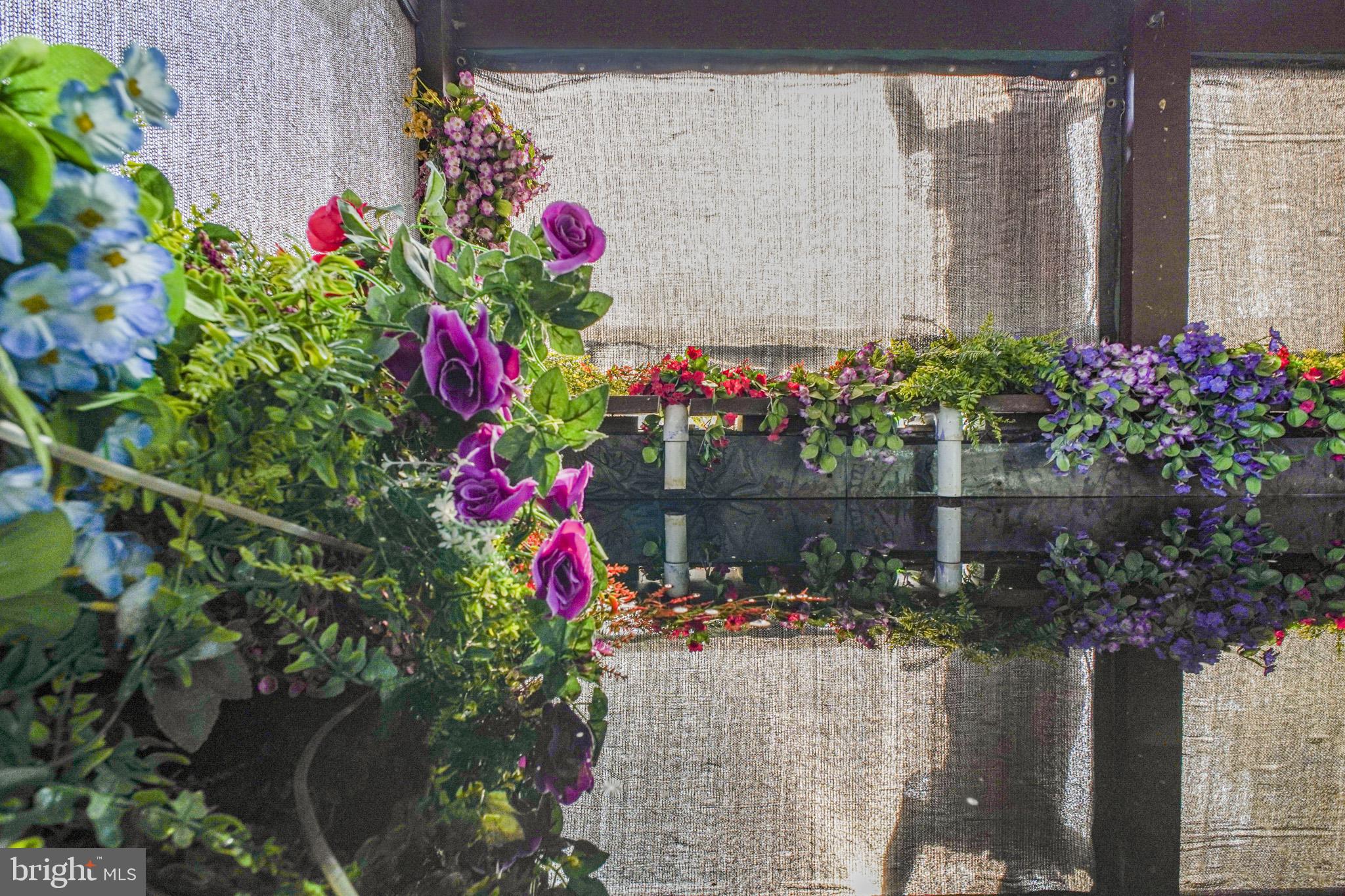 CAROLINE PINES - Residential