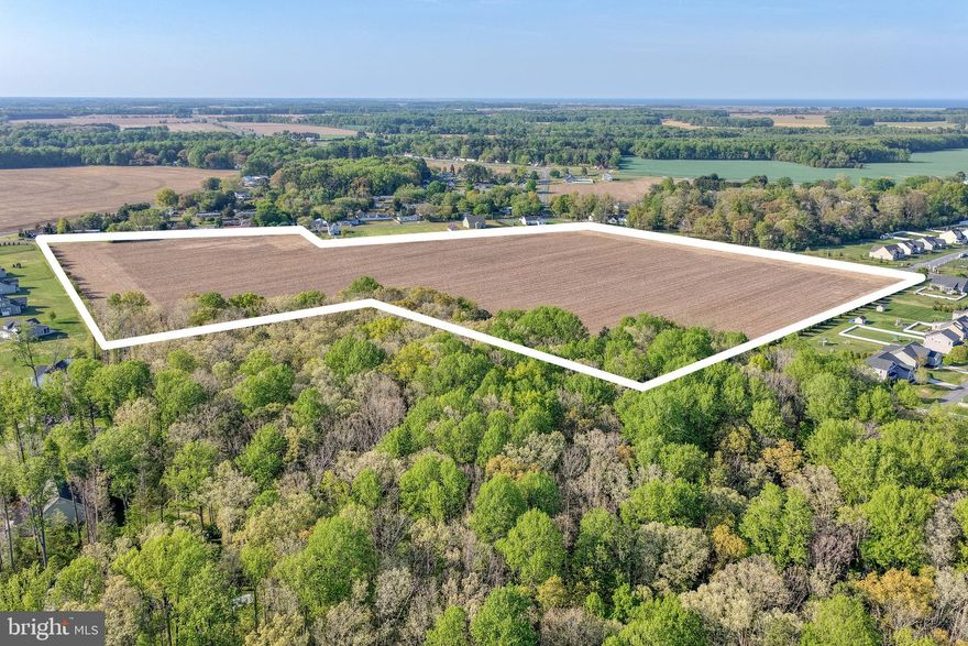 A truly incredible 47.8 acres of opportunity and development await you at Draper and Reynolds Roads in the gently growing rural Milton area.  Ideally positioned North-East of the town and just West of Coastal Highway, this expansive property offers approximately 35  tillable acres and 12.6 wooded acres, creating a rare blend of open farmland, natural beauty and future potential.  
Whether envisioned for agricultural use, your private estate setting, or possible development, the location offers very convenient access to our area's beaches, shopping, dining  and the many attractions of Coastal Delaware.  All the borders of this SITE are easily defined by the well-planned communities of Deep Branch Woods and Bay Landing.