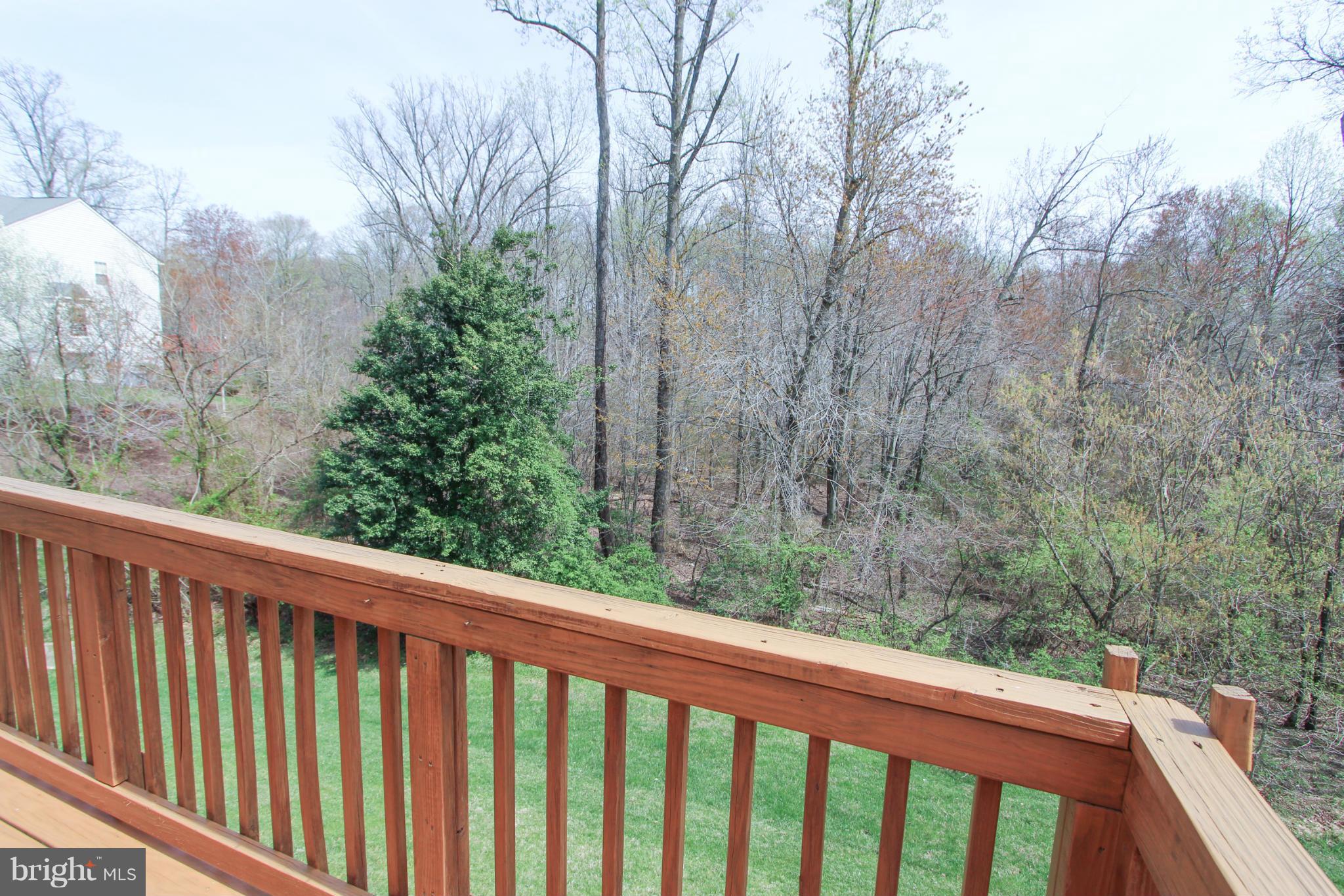 THE FOREST AT SOUTHRUN - Residential