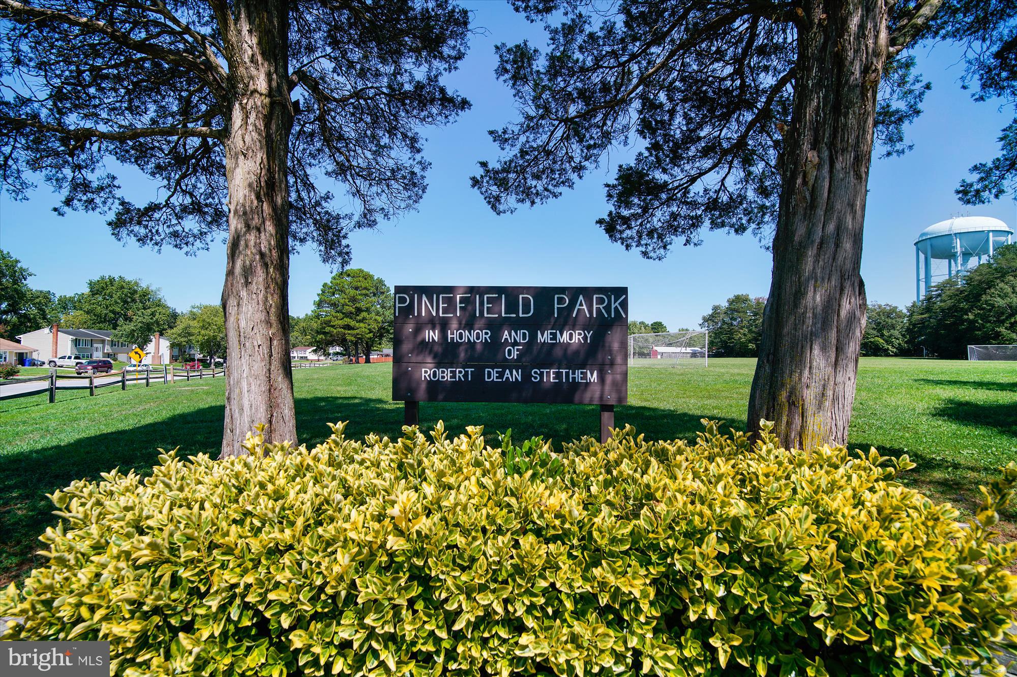 PINEFIELD - Residential