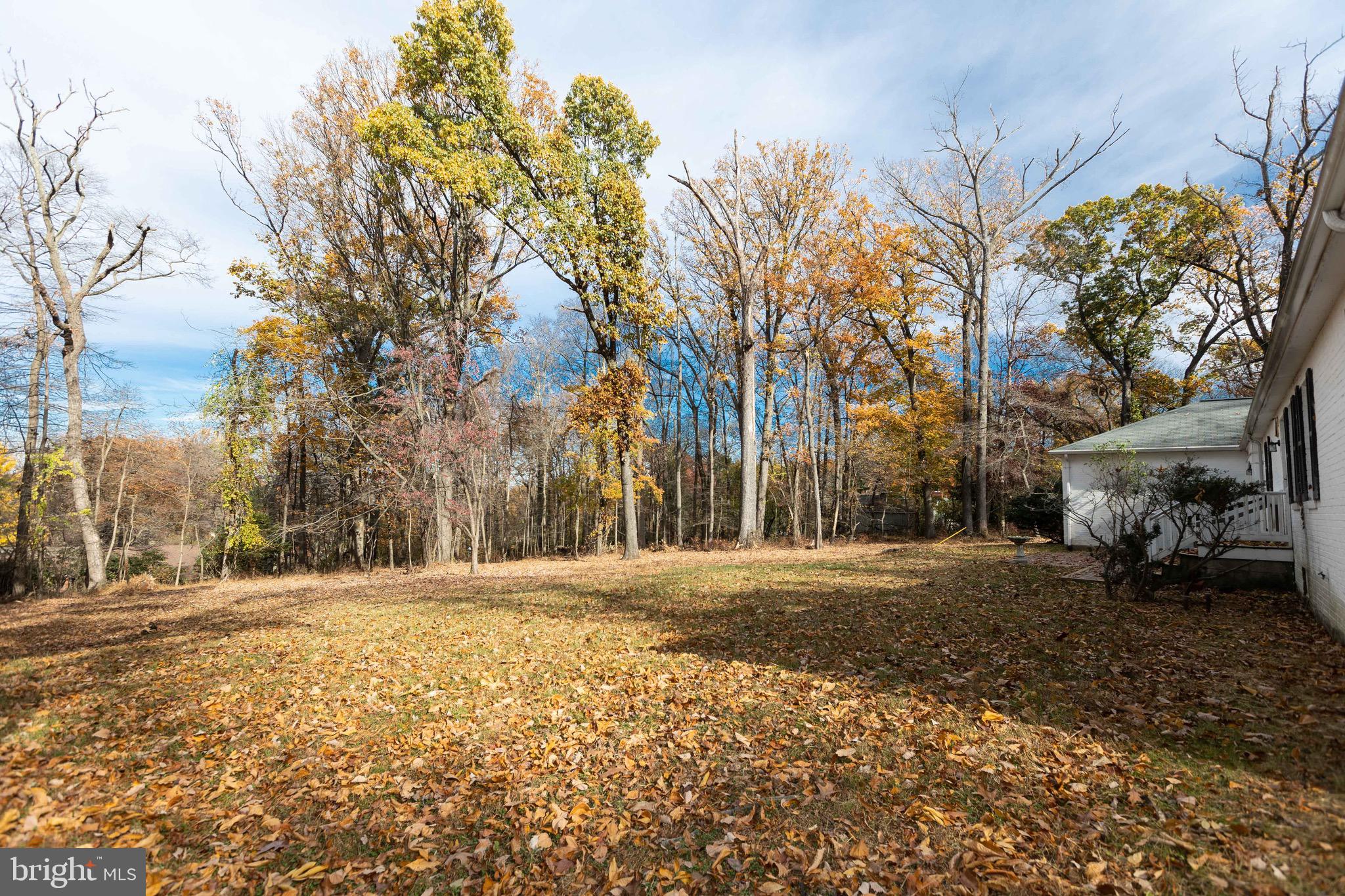 CAVES VALLEY - Residential