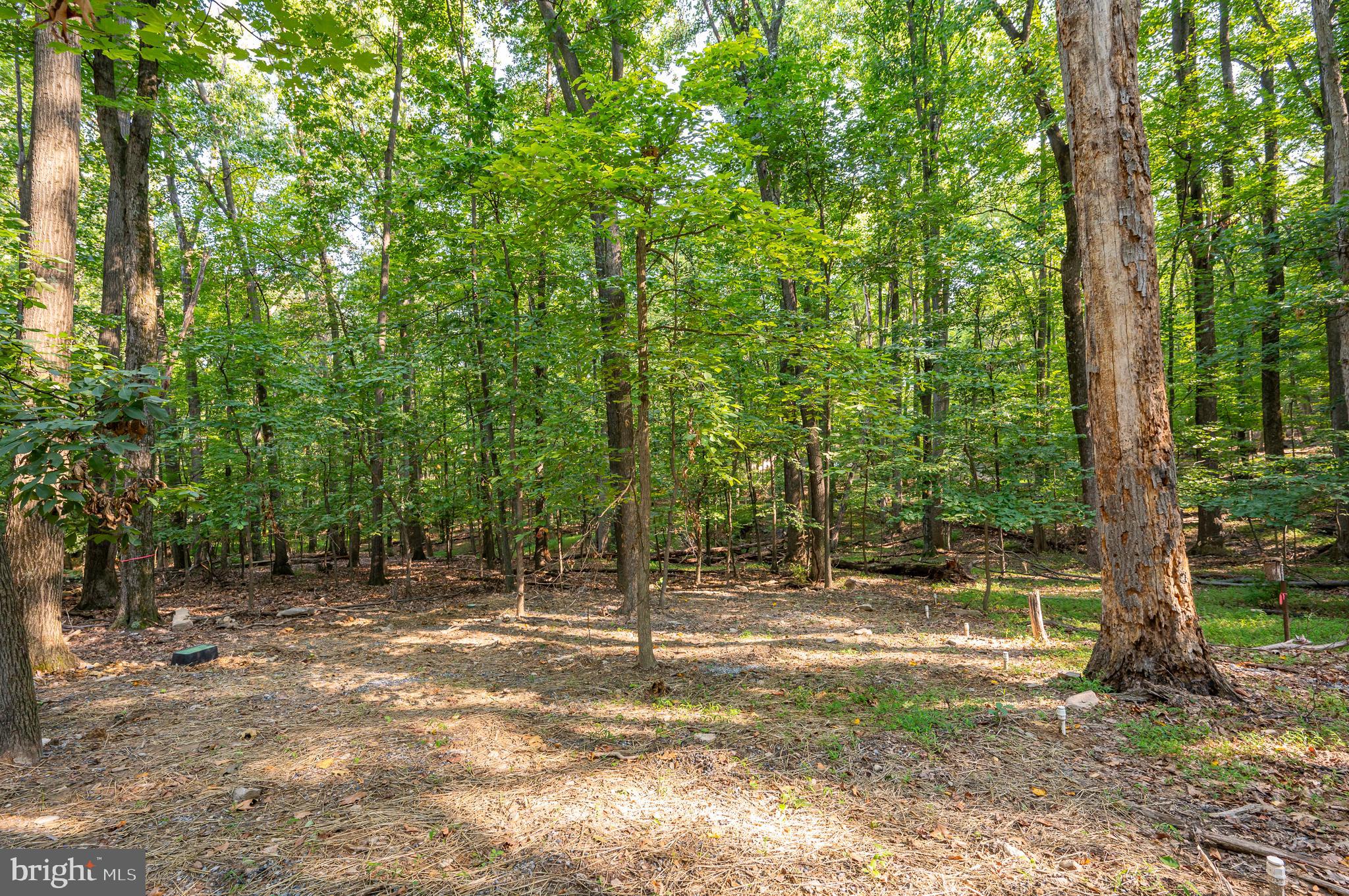 SHANNONDALE - Residential