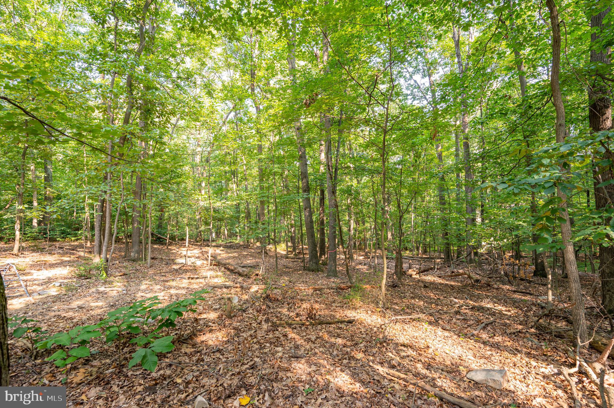 SHANNONDALE - Residential