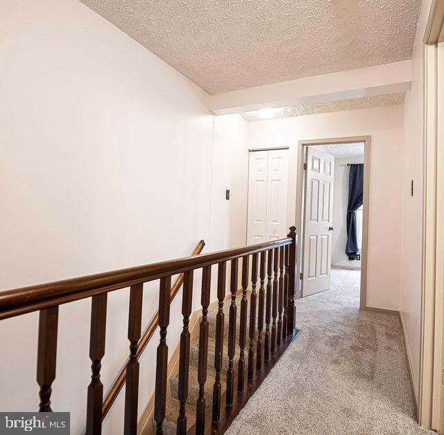 FOREST GREENS - Residential