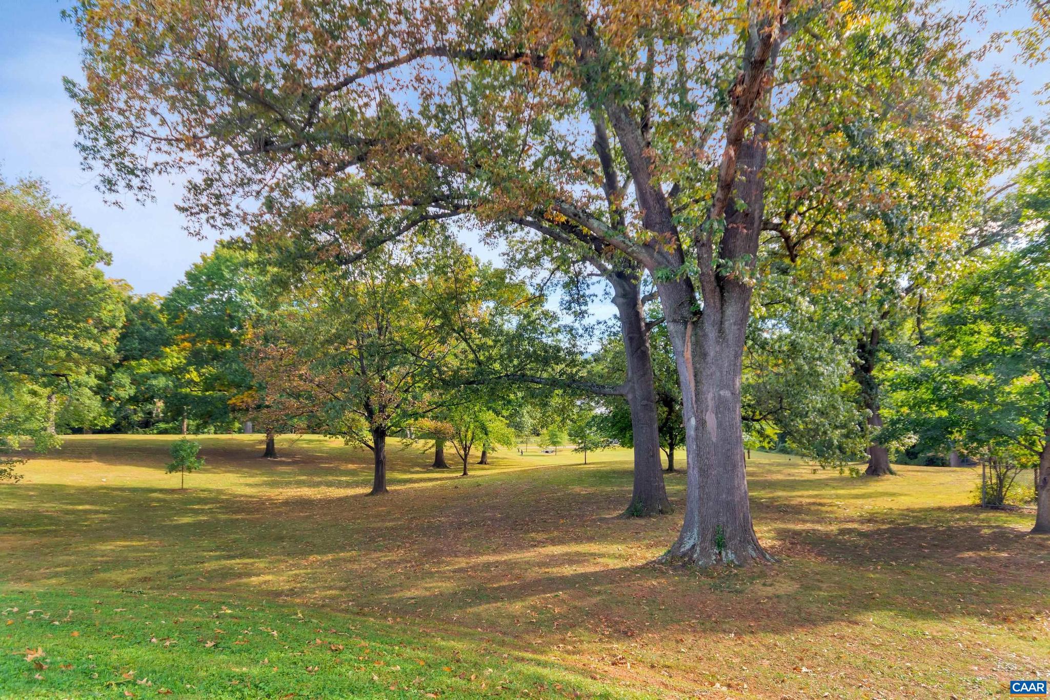 FOREST HILLS - Residential