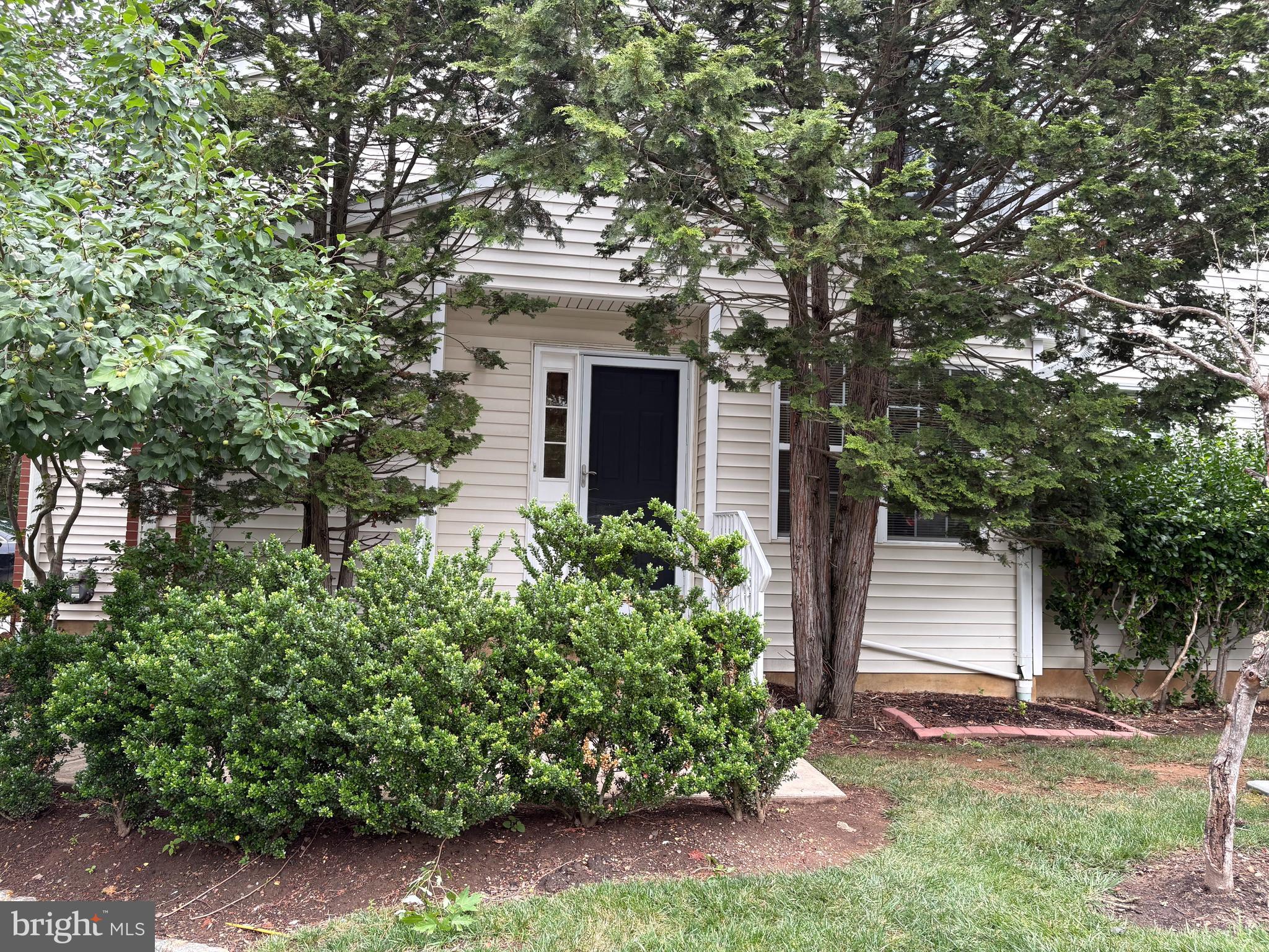 17 TAFT COURT