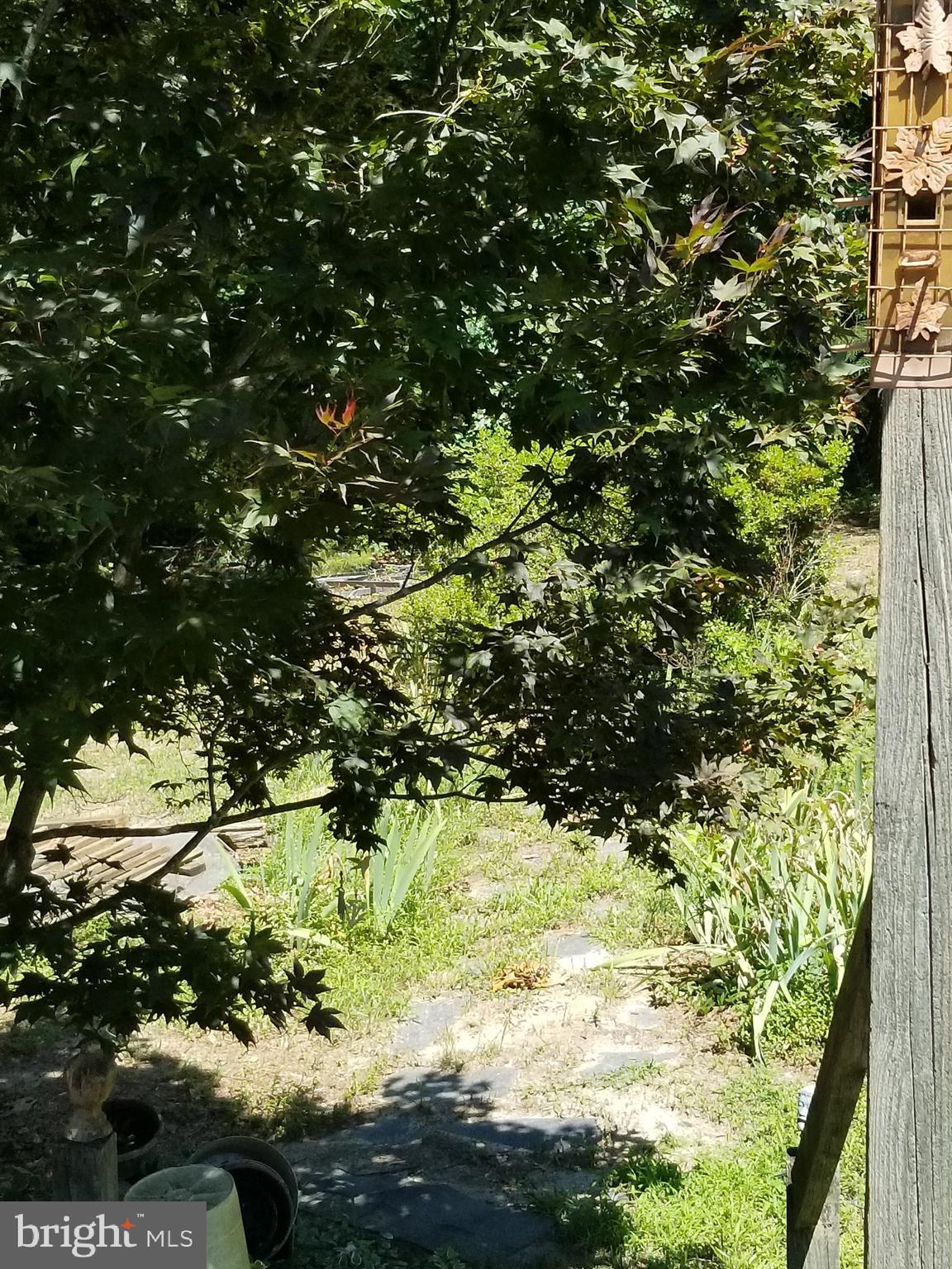 SHUMANSVILLE - Residential