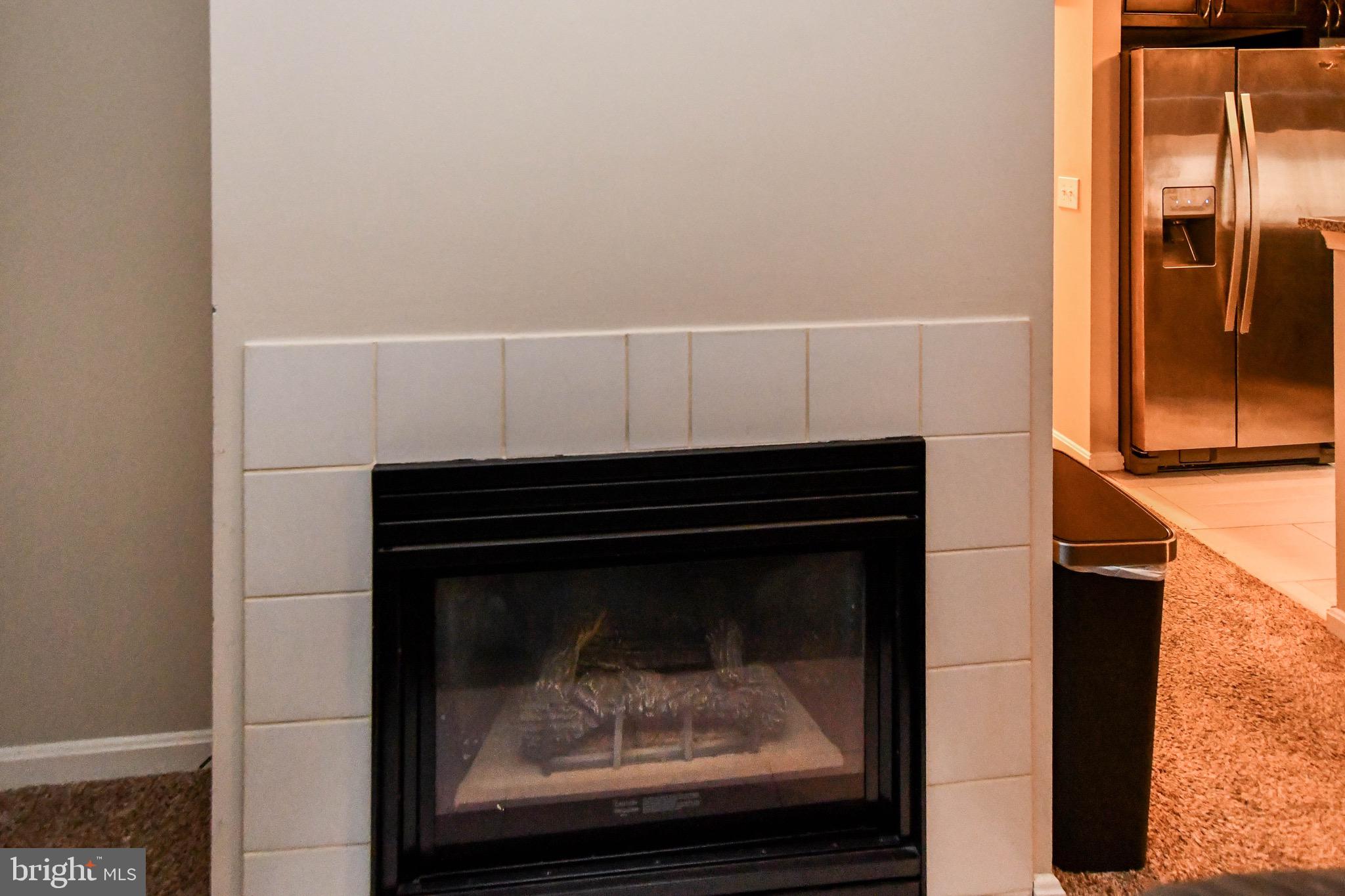 LEESBURG GATEWAY - Residential