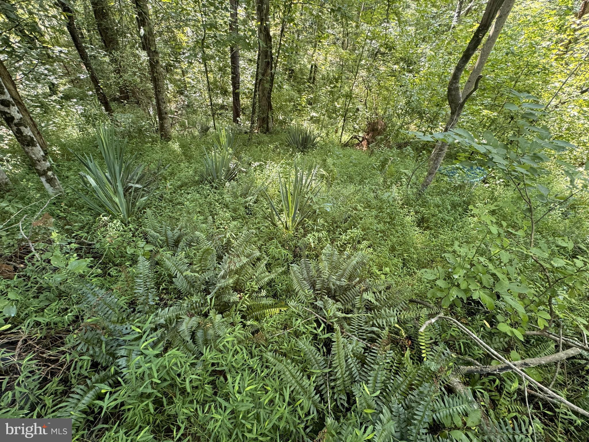 NONE AVAILABLE - Land