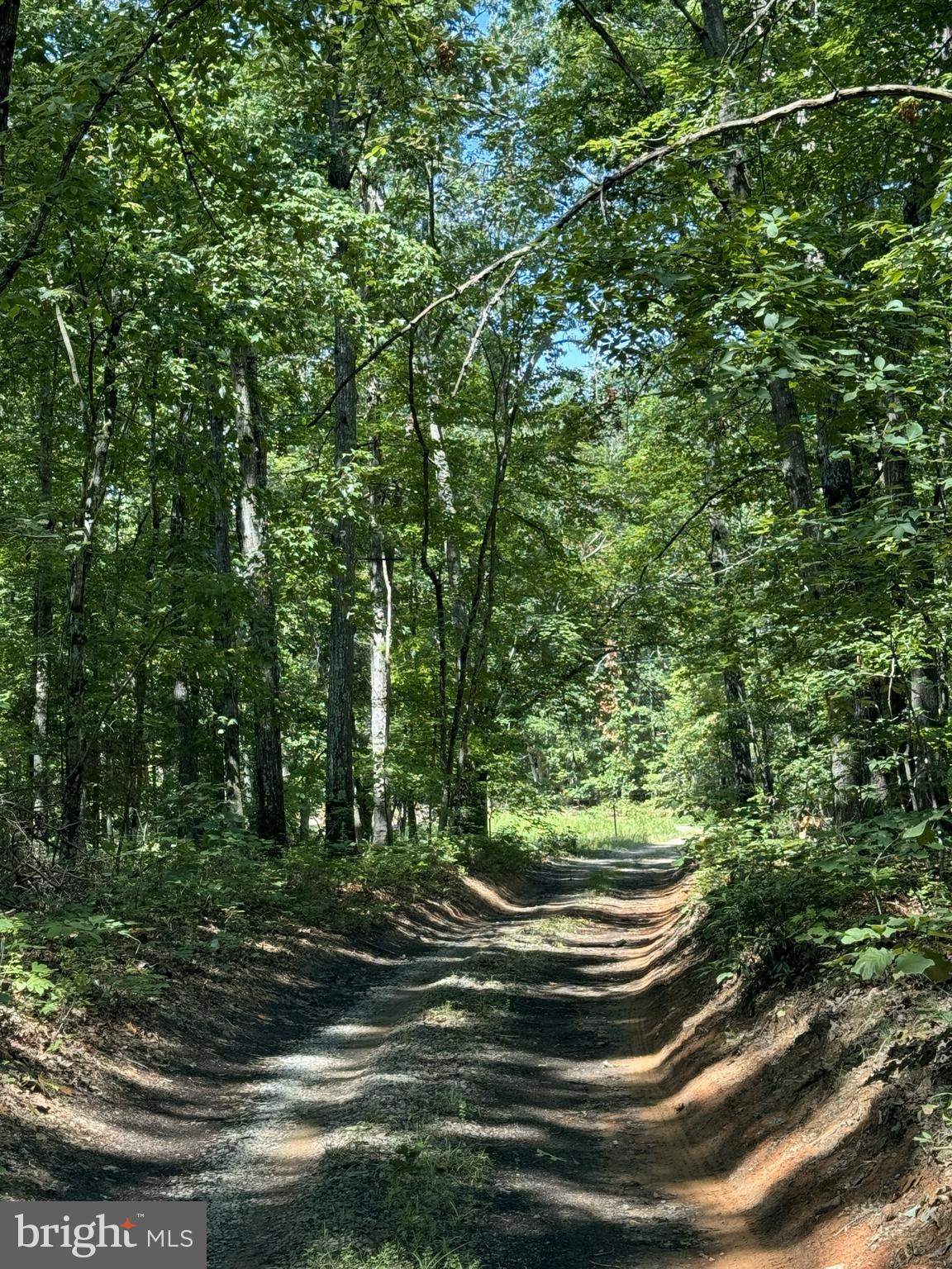 NONE AVAILABLE - Land