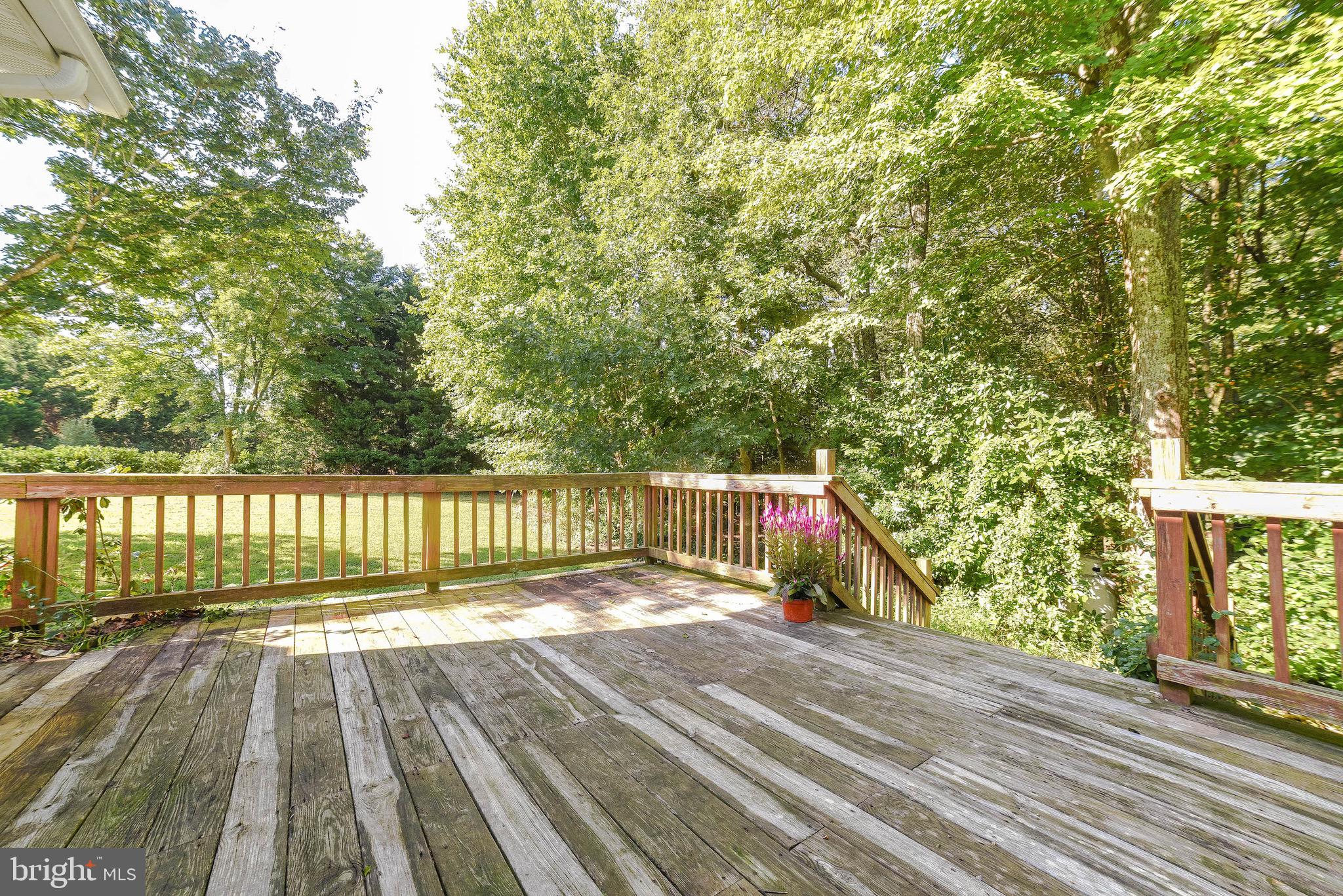 COX'S RUN - Residential