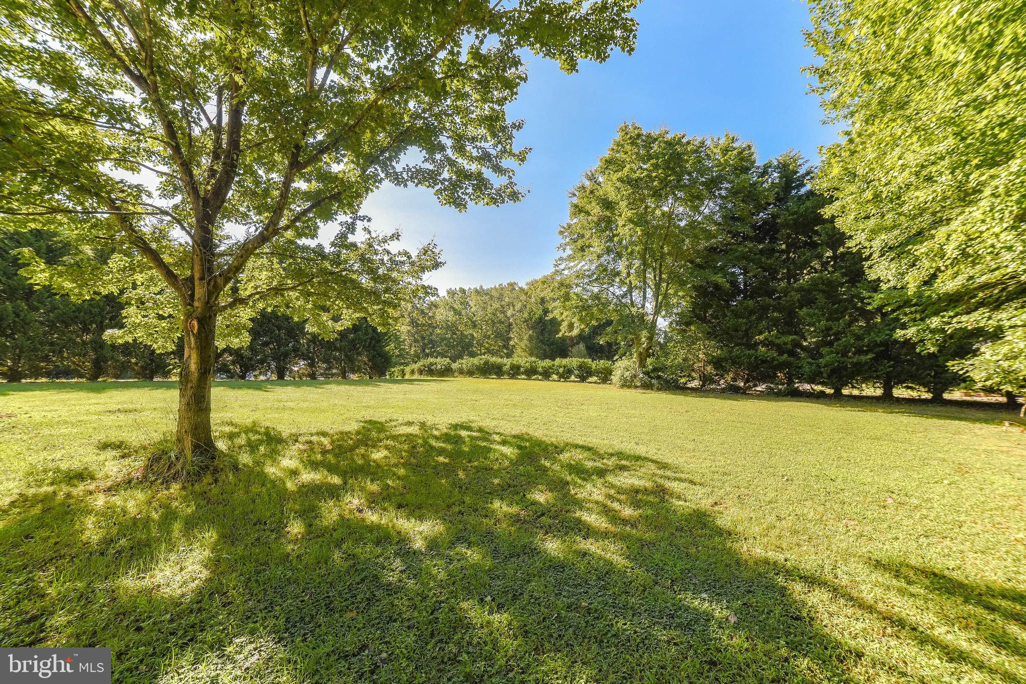 COX'S RUN - Residential