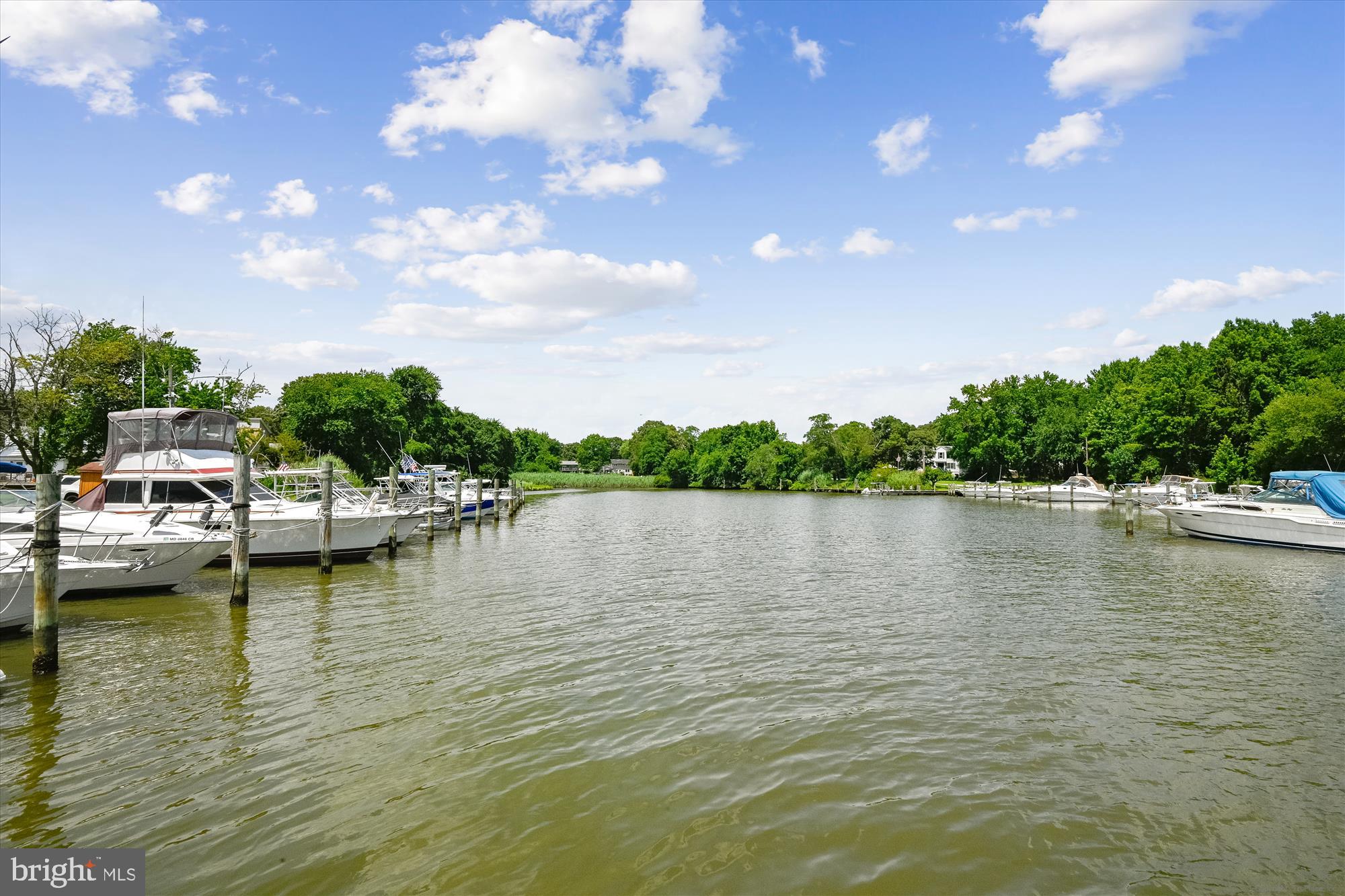 LONG POINT ON THE MAGOTHY - Residential