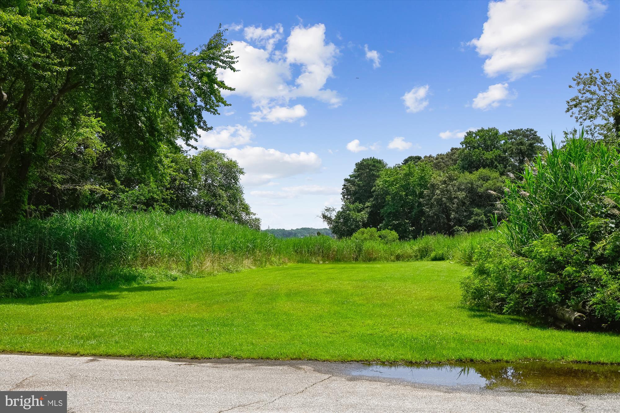 LONG POINT ON THE MAGOTHY - Residential