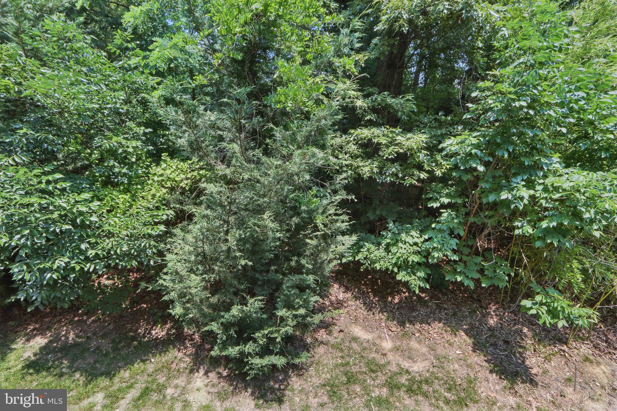 HOWARD SQUARE - Residential Lease