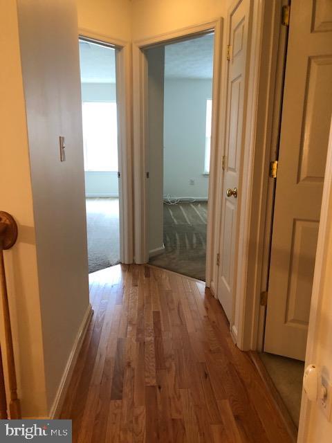 ASBURY WOODS - Residential Lease