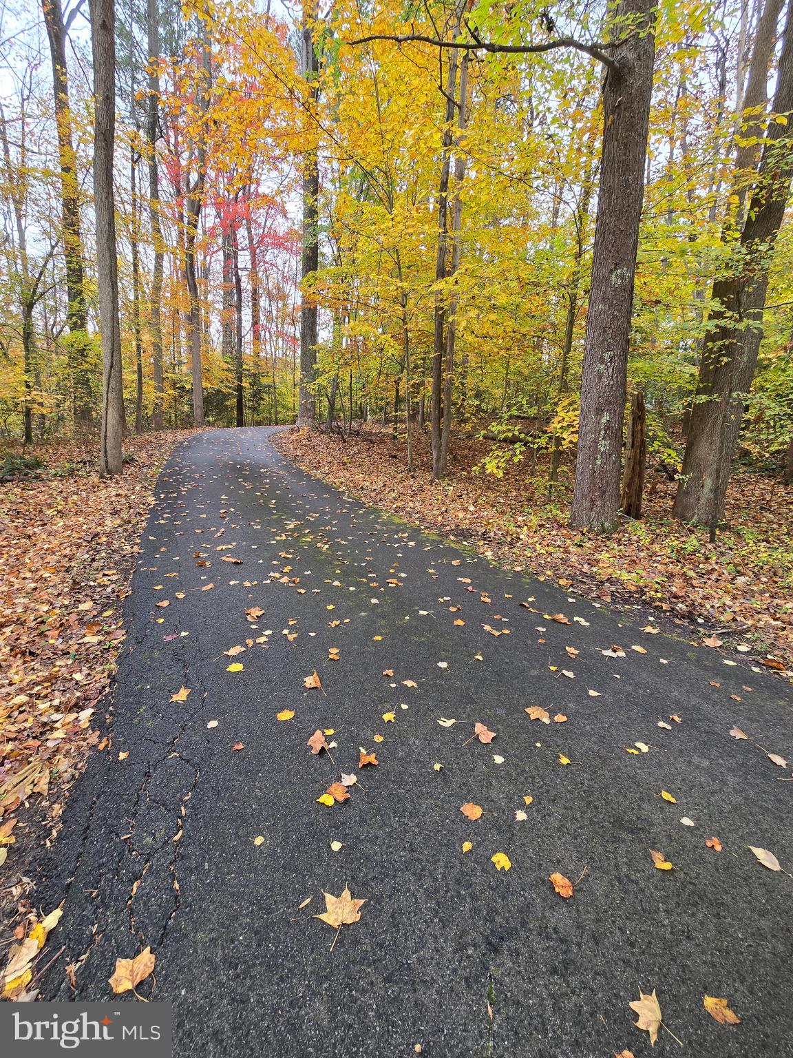TANGLEWOOD TOWNHOMES - Residential