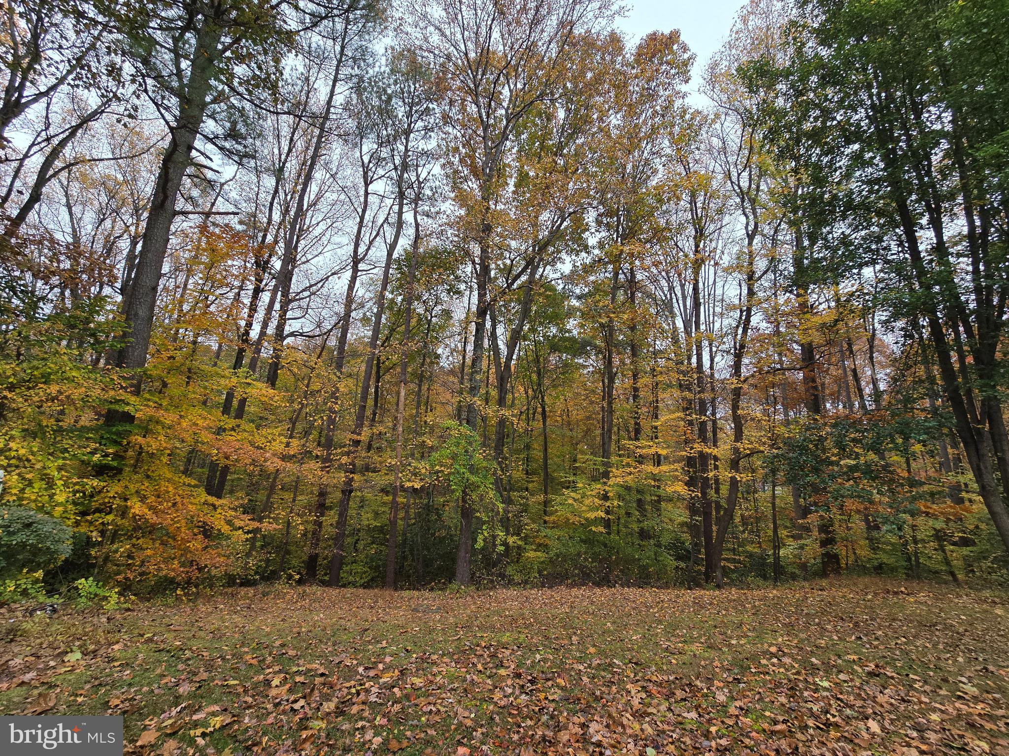 TANGLEWOOD TOWNHOMES - Residential