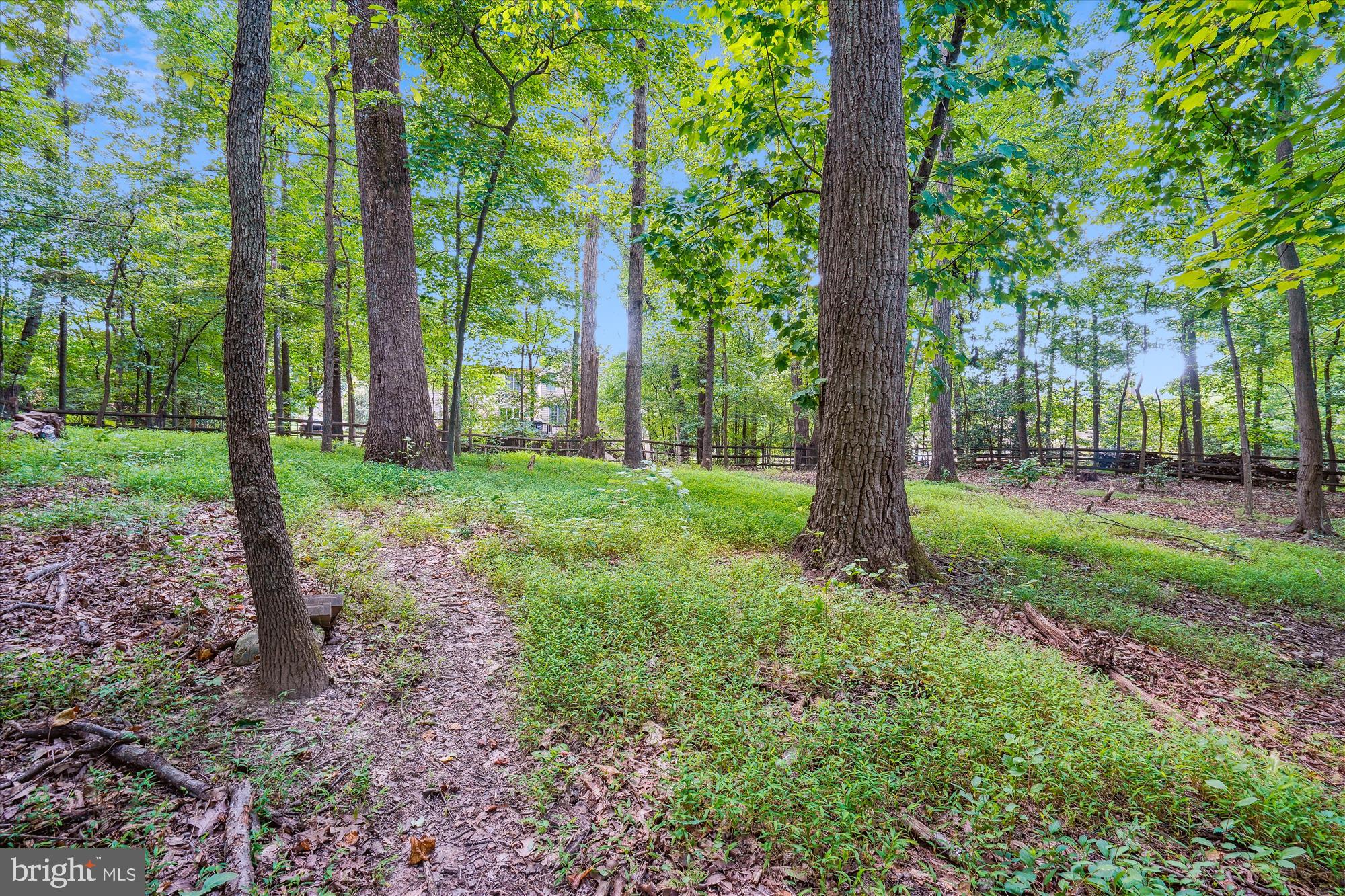 AMBERWOODS OF GREAT FALLS - Residential