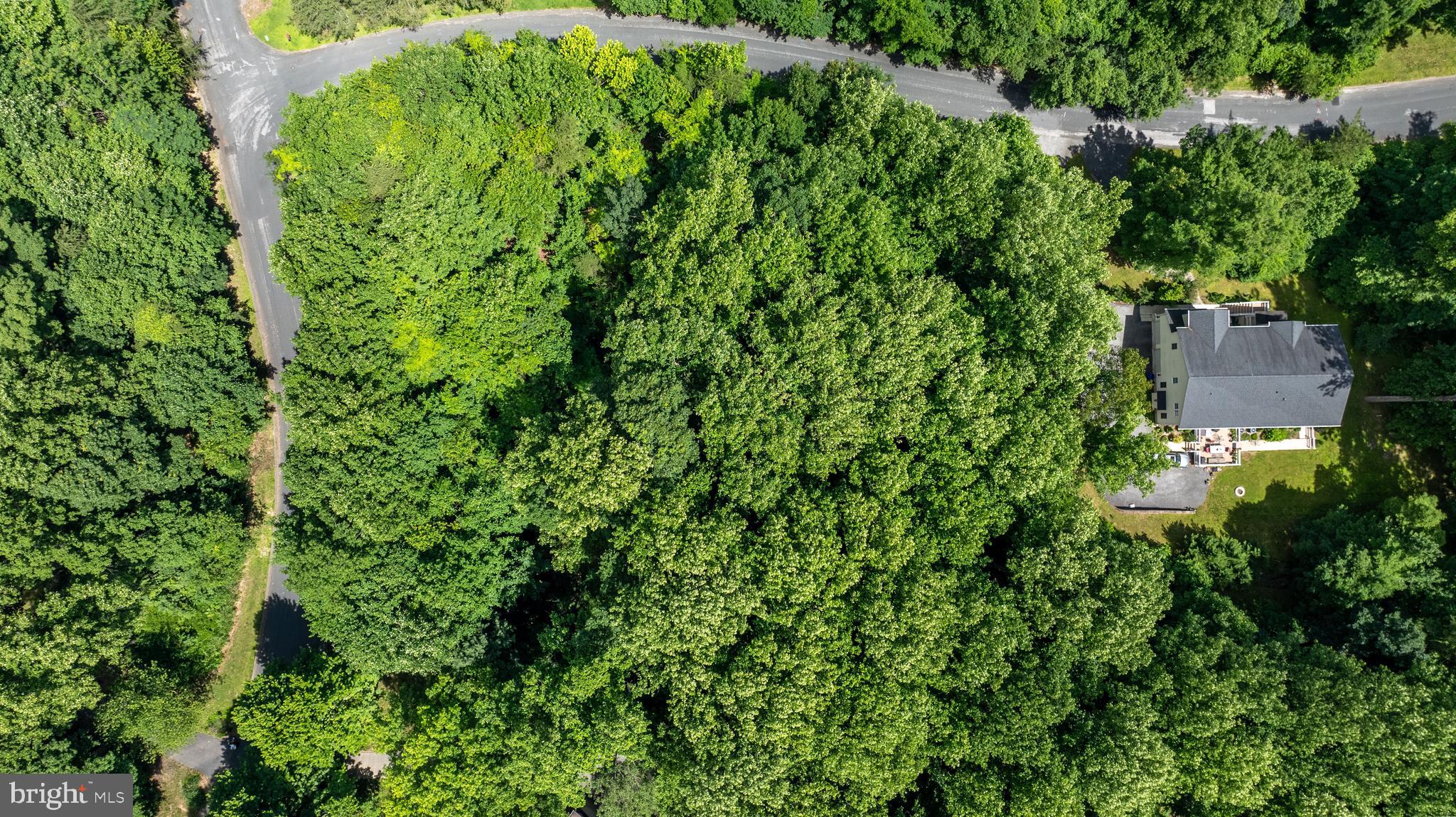 WORTHINGTON HILLSIDE II - Land