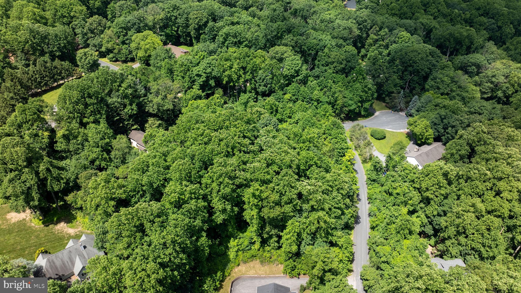One acre lot available in Worthington Hillside II, Section 1....at the corner of Timber Knoll & Timer View Rds. Wow! Come build your dream home in this beautiful community where you are 15 minutes from Hunt Valley, 15 minutes from Johns Hopkins Falls Road and close to private and pubic schools in Baltimore County! The Perc test has been revalidated and what can be more perfect....public water is in the community! Pick your builder and start your plans; the property is approved for a 5 bedroom home!