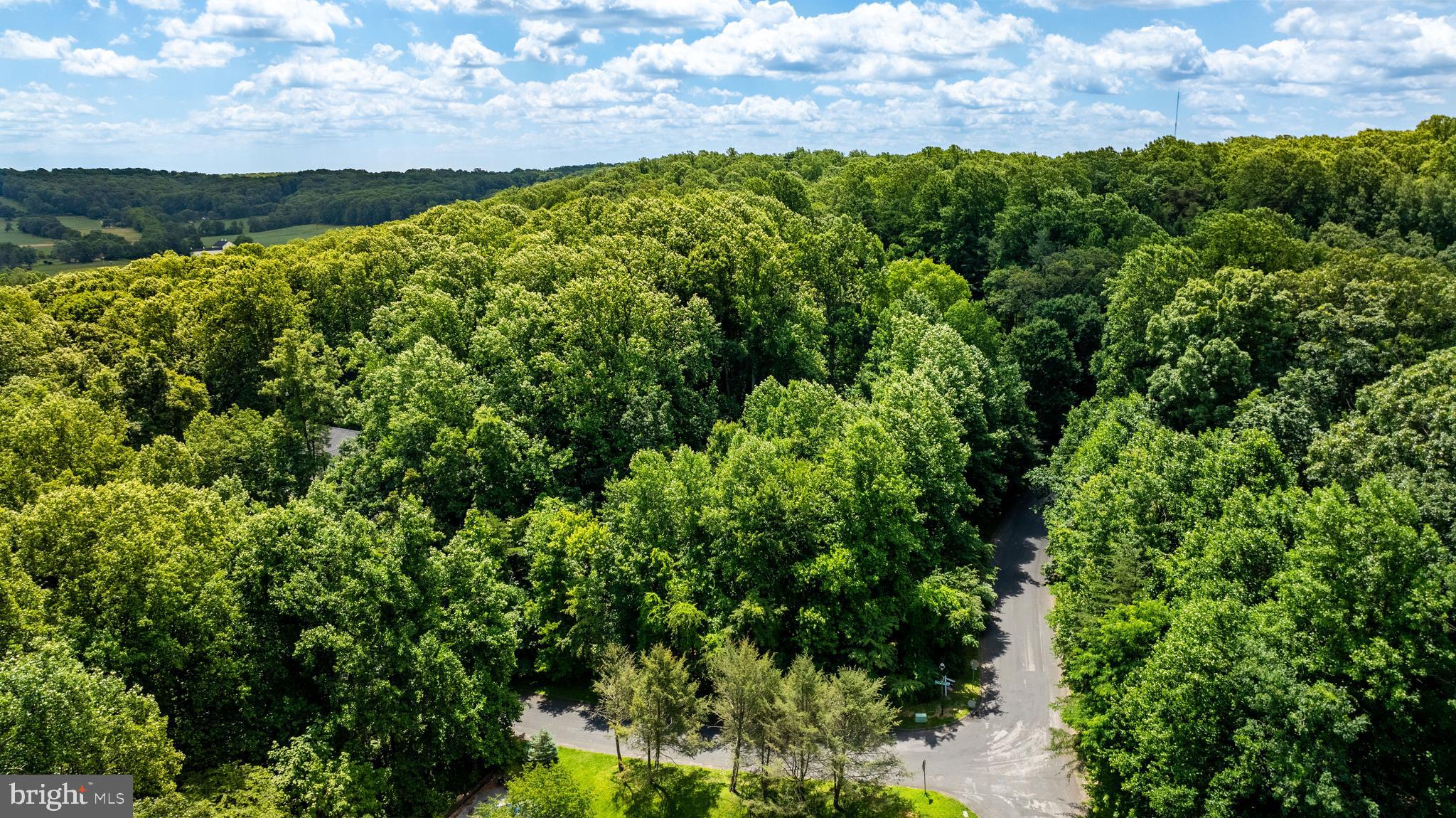 WORTHINGTON HILLSIDE II - Land