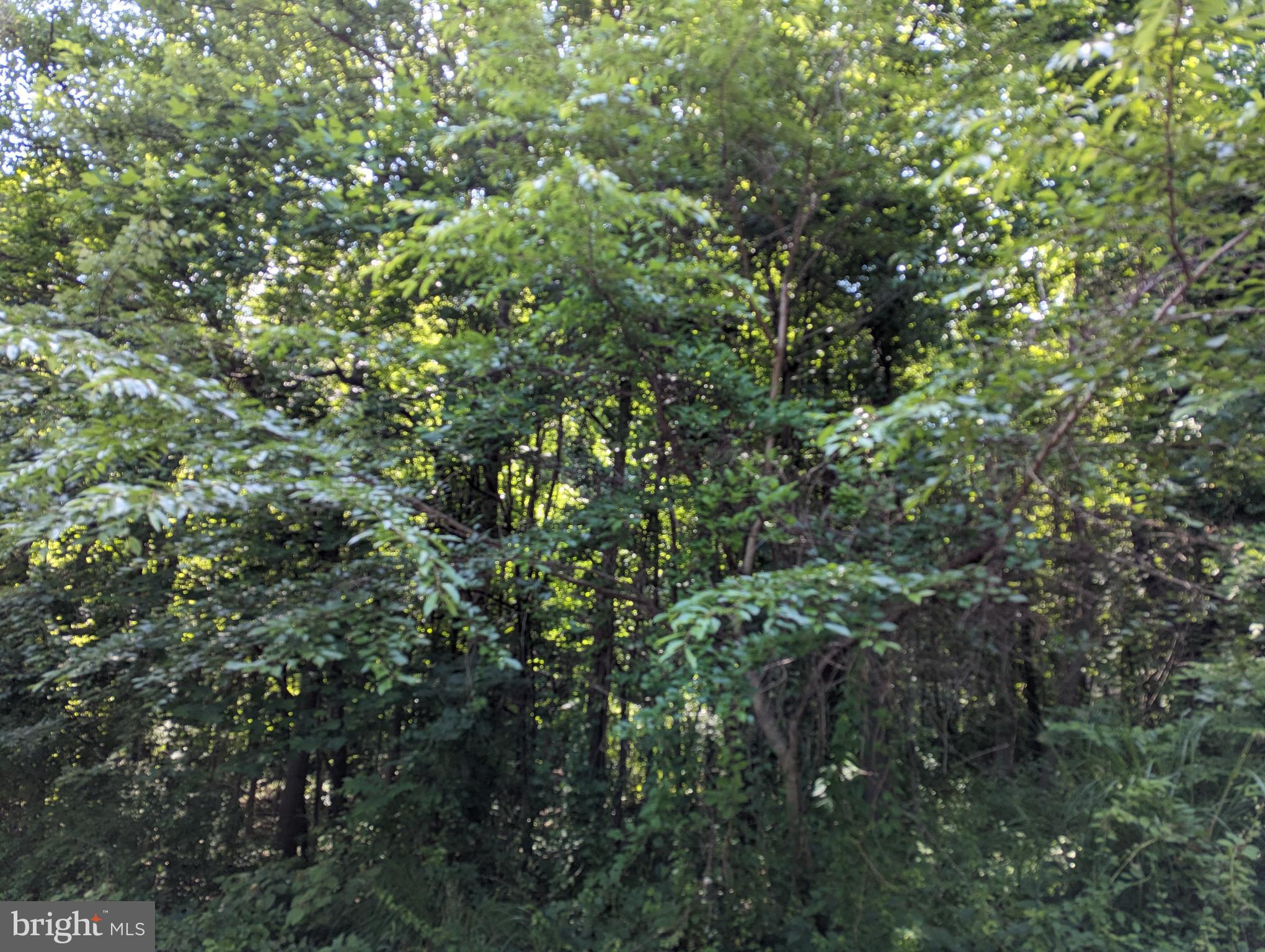 WORTHINGTON HILLSIDE II - Land