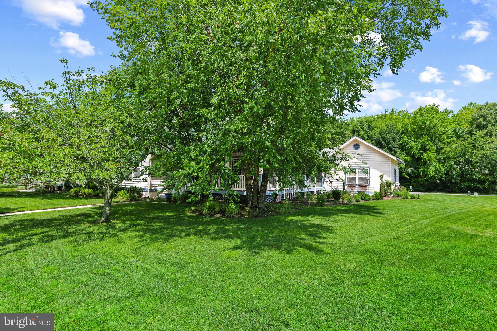 33690 ASHLAND DRIVE