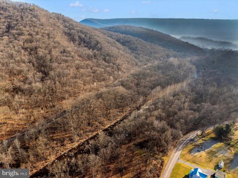 Vacant Land For Sale - 000 Gooseberry Road<br/> Bedford County, HYNDMAN, PA 15545