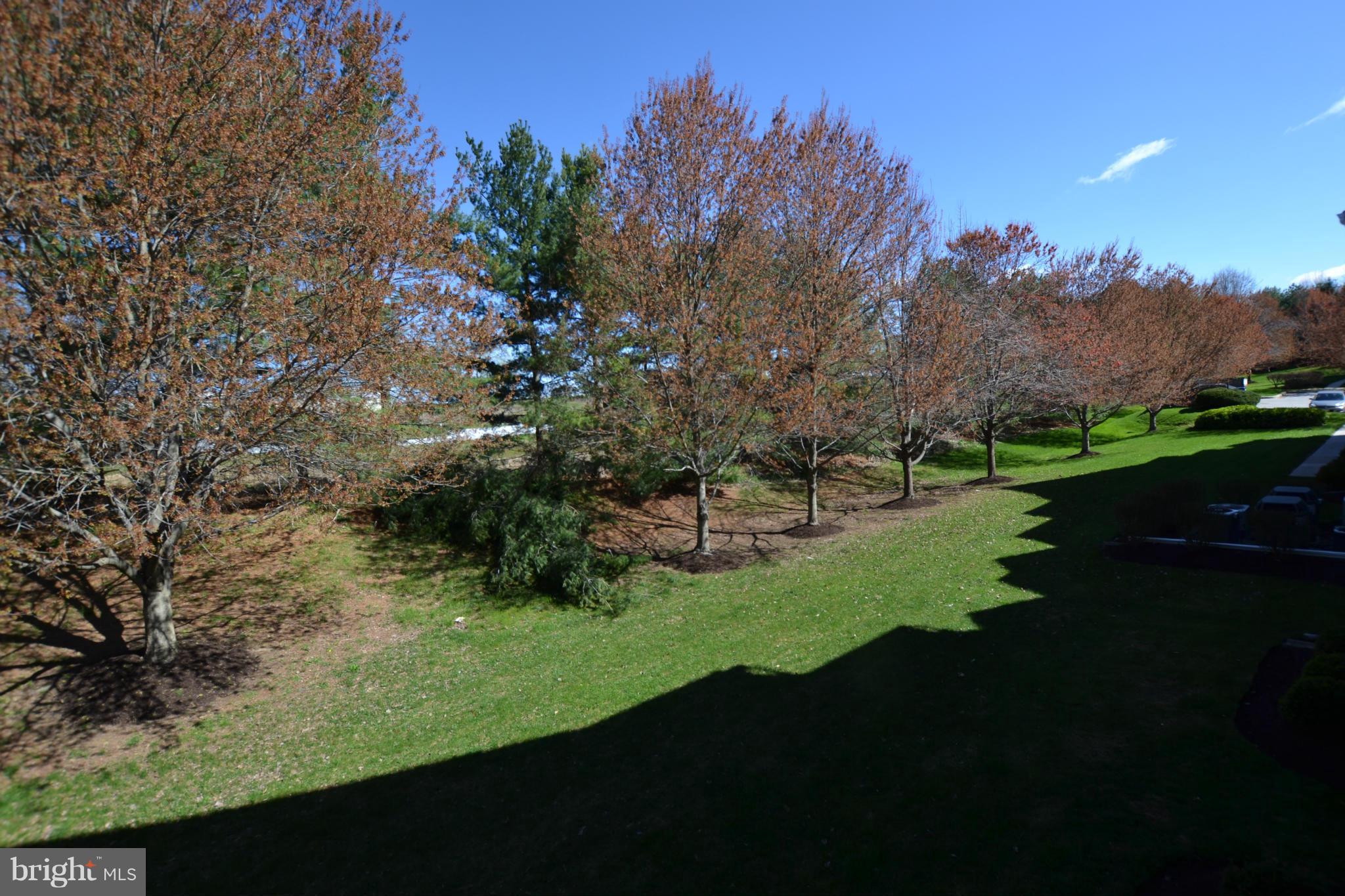 BRANDYWINE STATION - Residential