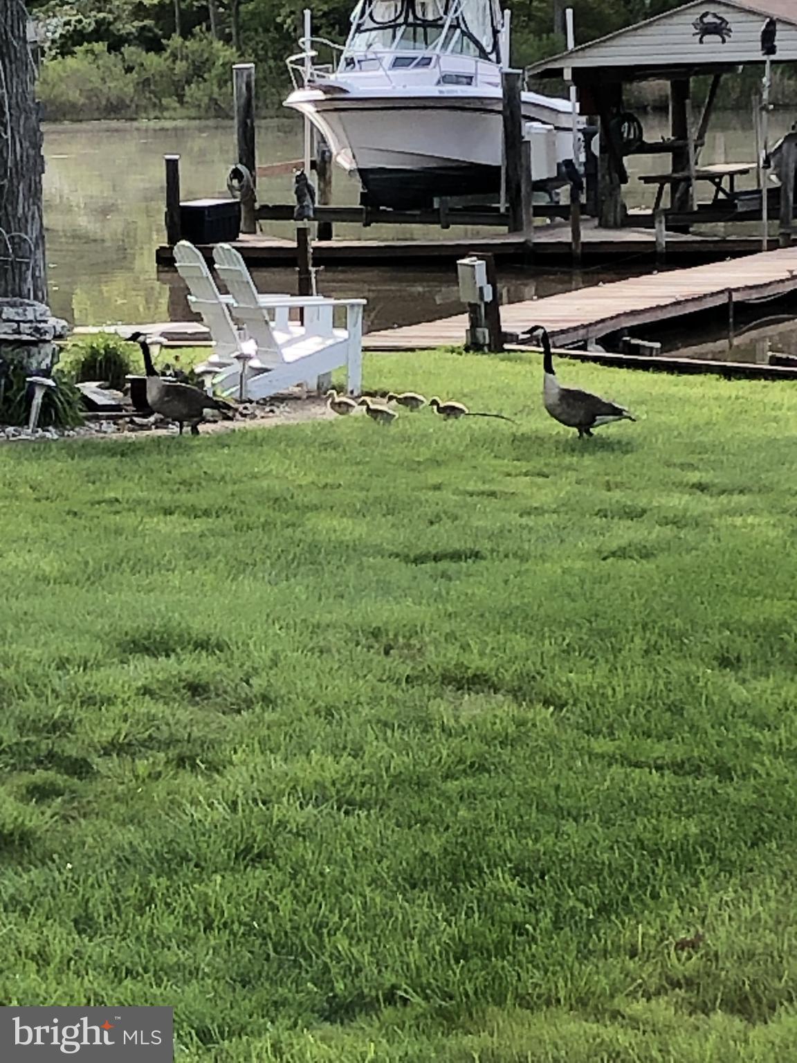 AVALON SHORES - Residential