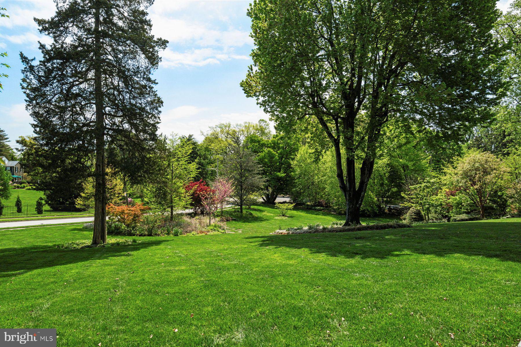 CHESTNUT HILL - Residential