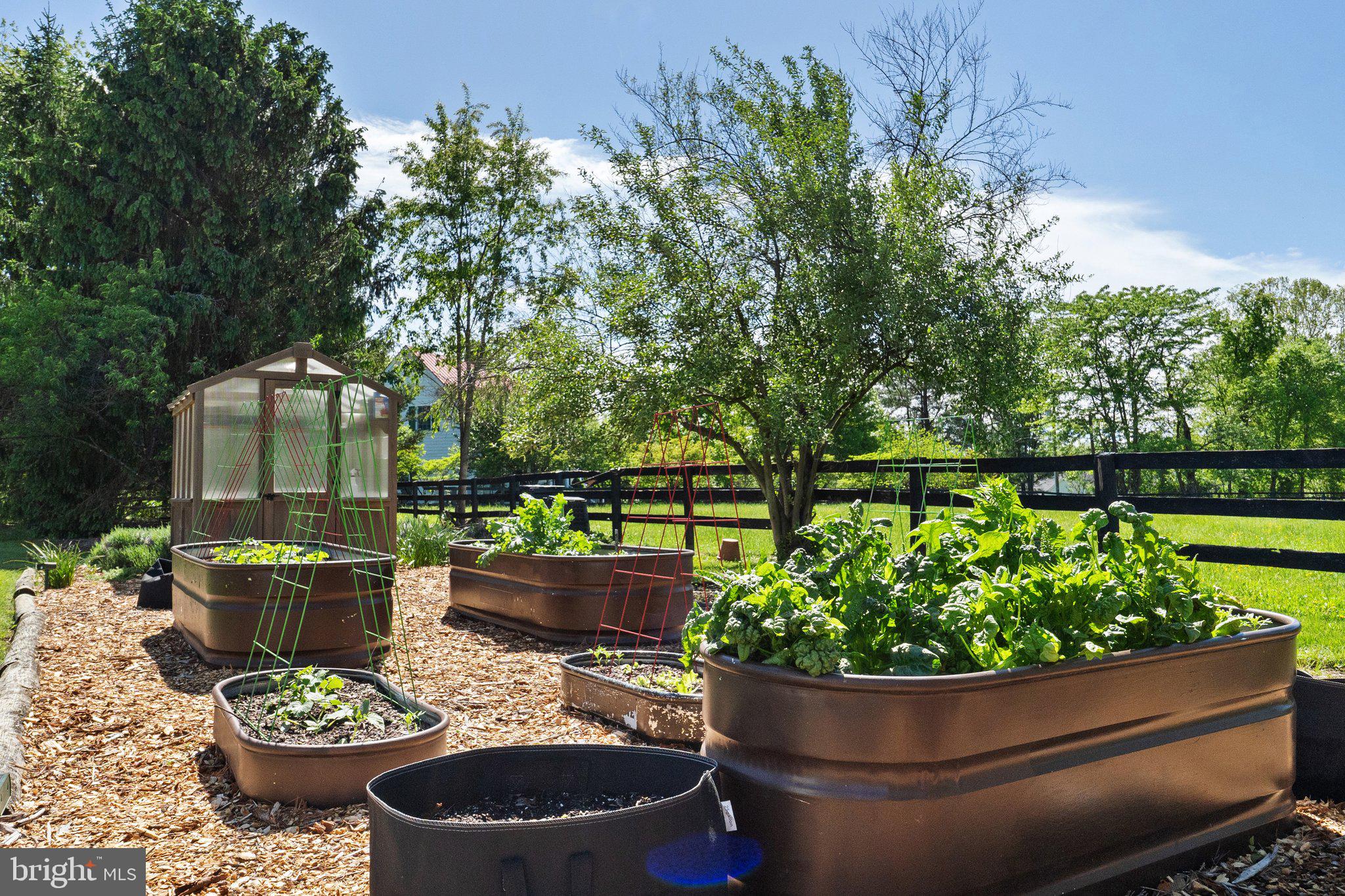 ASHLEY SPRINGS - Residential