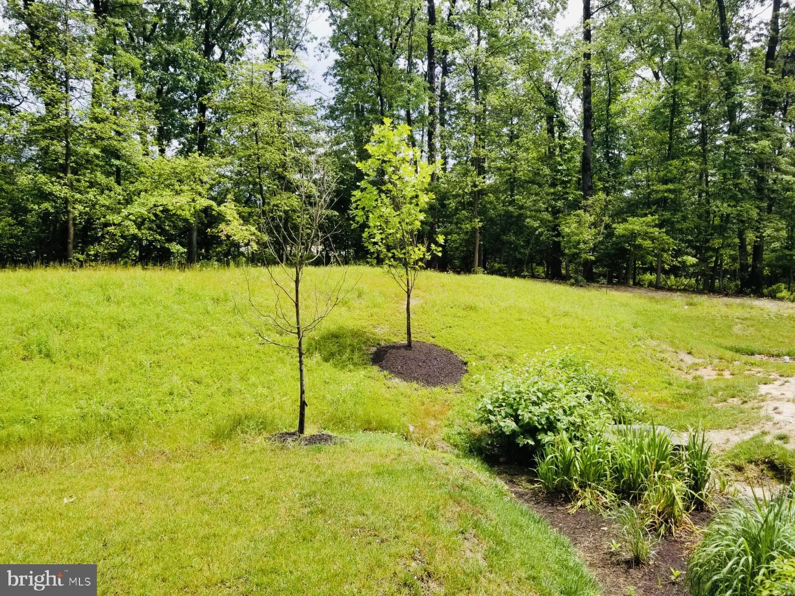 CREEKSIDE VILLAGE AT TANYARD SPRINGS - Residential