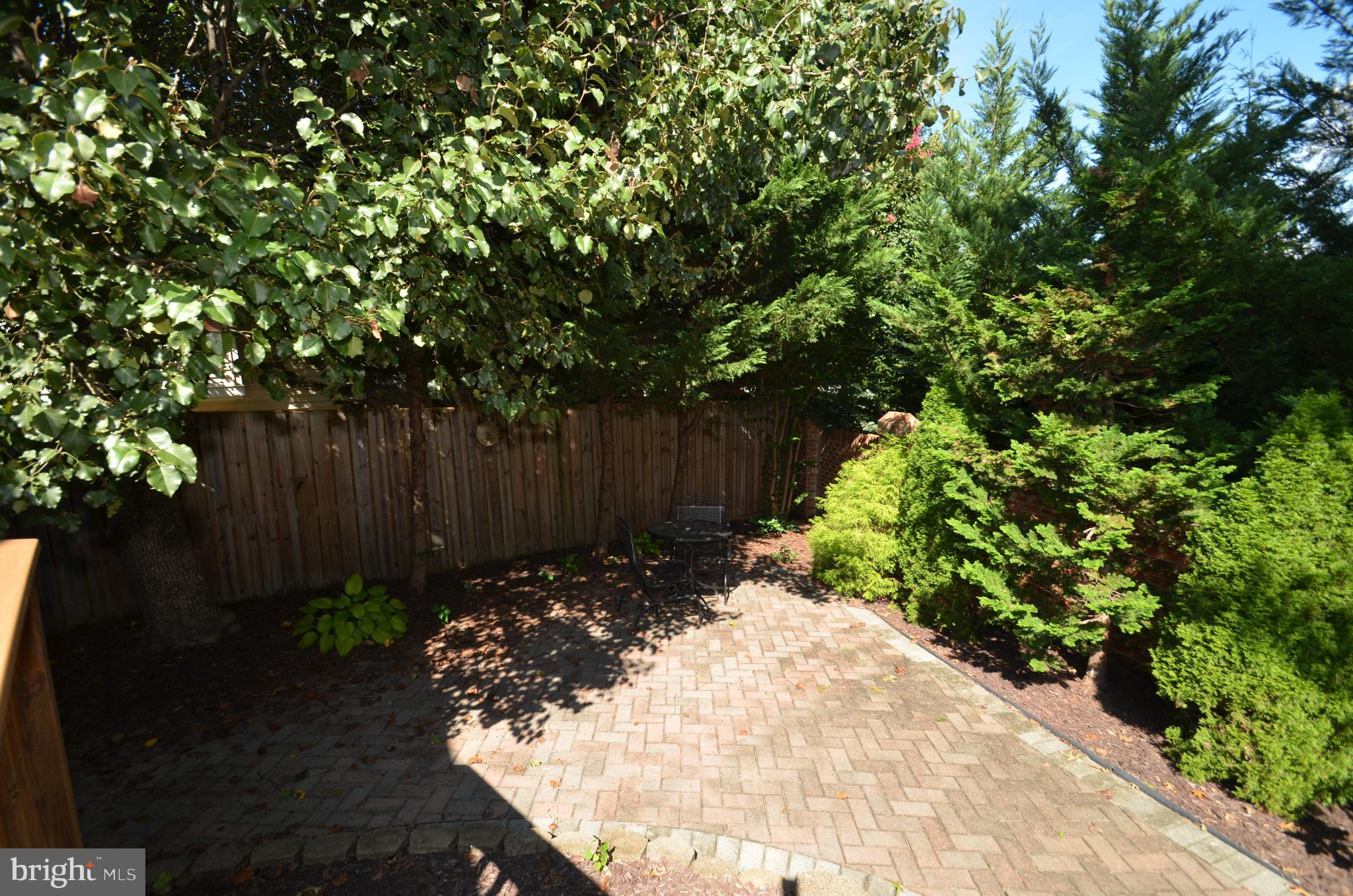 KINGSTOWNE - Residential Lease