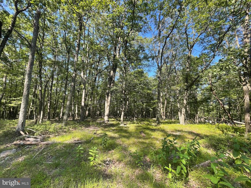 Thinking of building soon, in the near future, maybe not even for another few years.  Well this .6 acre level building lot in the COVE VILLAGE COMMUNITY is calling to you, so WAIT NO MORE!  Let's build that dream home on your timeline!  The Cove Village Community is situated in the foothills of the Poconos and only 1 1/2 hours to New York,  With easy access to I-81 your commute to Hazleton, Wilkes Barre, or Scranton is a breeze.  Bring your own builder and let's get started.   Another cost-saving perc of the community is having public water and sewer already in place and ready for you to connect through Aqua of Pa.   750 acres of unoccupied prime hunting, ATV, and snowmobile riding land surround the residential portion of Cove Village and is allocated only for the residents of the community and their guests!  Driving through the community, the peace and tranquility will envelop you.  At any given moment the deer, turkey, and birds will entertain you in your own backyard.   Homes within the community vary from rustic cabins and chalets to traditional ranch or two-story homes and even exquisite new construction or dreamy mountain log homes.  There really is something for everyone.  The approximately 278 acres of residential homes and lots are occupied by full-time residents, part-time vacation homes, and even some snowbird second homes.  Cove Village offers an abundance of amenities including a swimming pool, stocked fishing lake, a basketball court, tennis courts, a volleyball court, 2 playgrounds, a baseball field, ATV paths, hunting, a mini golf course, walking paths, and year-round Community events.  I can't forget to mention the beautiful lodge ideal to rent for family gatherings.   This lot and community just might be exactly what you've been looking for.  Air B and B are not permitted. Camping on vacant lots is not permitted.  Mobile homes are not permitted.  The minimum square footage when building is 1400 square feet.  The community maintains the roads and snow removal.  Trash collection is also provided.   An appointment is required to view due to the gated community.  Call to schedule your tour today!