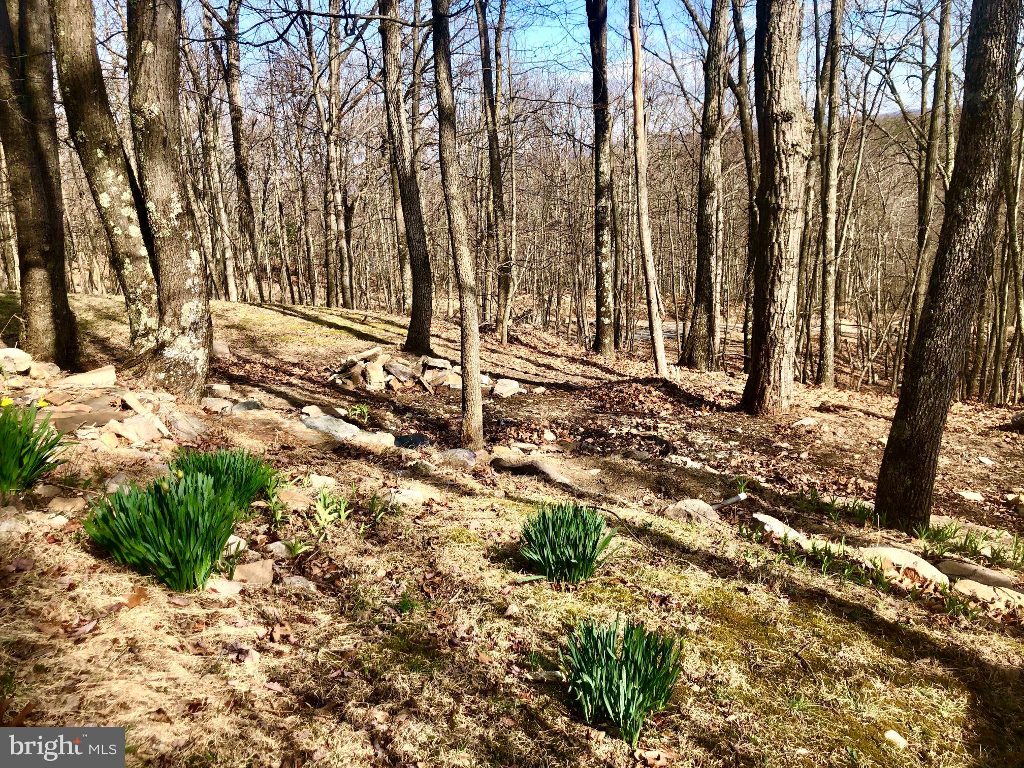 VALLEY HIGH TIMBER FARMS - Residential
