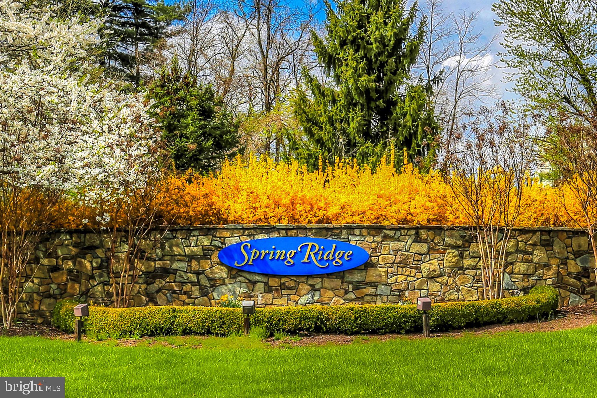 SPRING RIDGE - Residential