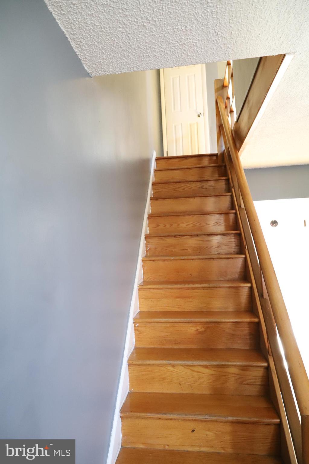 MAYFAIR - Residential Lease