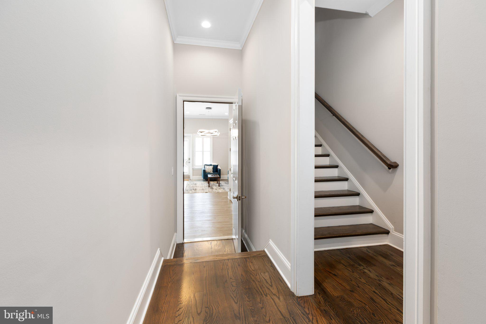 AMELIA SQUARE - Residential